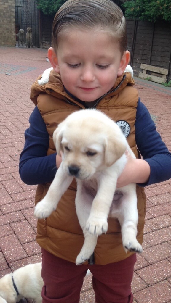 best mobile pet grooming near me